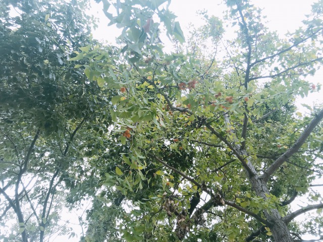 20181029(2).jpg
