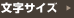 文字サイズ