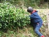 imgabouttayoriimg_nouen_250303_3.jpg.JPG