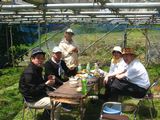 imgabouttayoriimg_nouen_250428_2.jpg