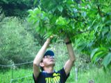 imgabouttayoriimg_nouen_250524_1.jpg.JPG