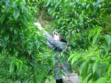 imgabouttayoriimg_nouen_250524_2.jpg.JPG