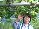 imgabouttayoriimg_nouen_250720_2.jpg.JPG